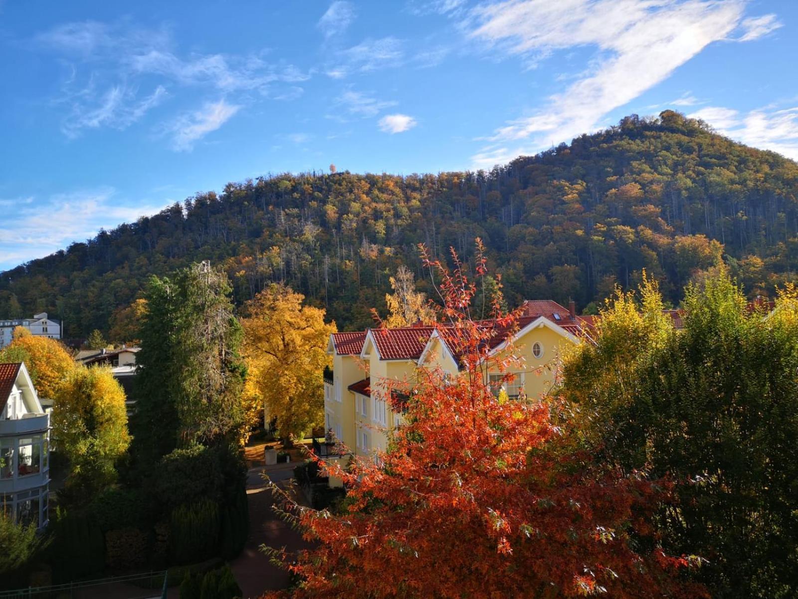 Bergliebe Apartment Bad Harzburg Exterior foto